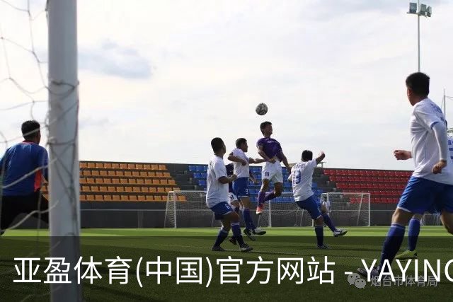 亚盈体育(中国)官方网站 - YAYING SPORTS公司简介